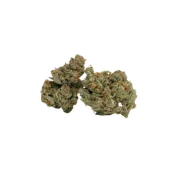 Magnum CRM from  product image