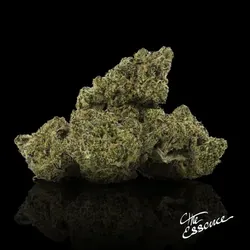Minty Blizzard from  product image