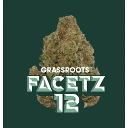 Facetz 12 from  product image