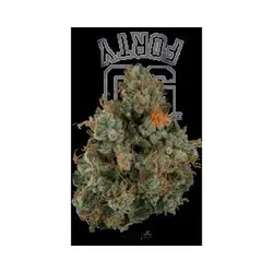 4G Flower - 40 OG from  product image
