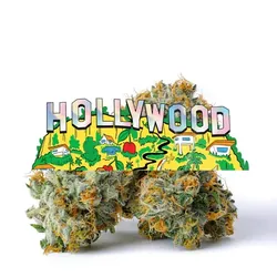 Cookies Select - Hollywood from  product image