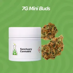 Lemon Meringue Mini Buds - 7g from  product image