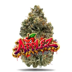 Applez #11 - Premium Flower from  product image