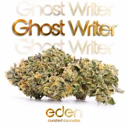 GhostWriter from  product image