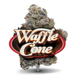 Waffle Cone - Premium Flower from  product image