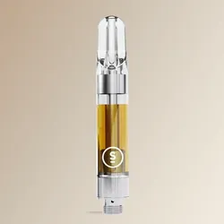 Essentials Papaya Peach from  product image