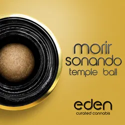 Morir Sonando from  product image