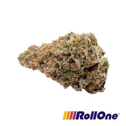 C99 Flower from  product image
