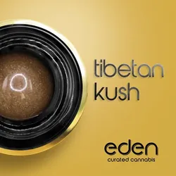 Tibetan Kush from  product image