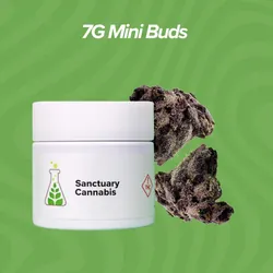 Cherry Boof Mini Buds - 7g from  product image