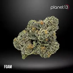 Foam 3.5g Pouch Tier 1 from  product image