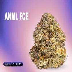 ANML FCE from  product image