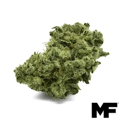 Soul Safari Flower from  product image