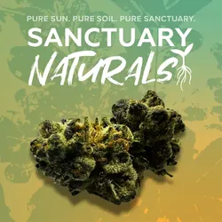 Sanctuary Naturals 3.5g Space Center from  product image