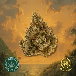 Petro from  product image
