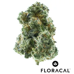 FloraCal Craft Cannabis Flower 3.5g - Kush Mnts (I) from  product image