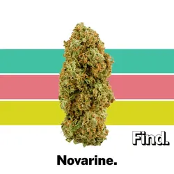 Novarine from  product image
