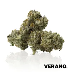 Gastro Pop from  product image
