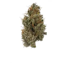Lemon Cooler from  product image
