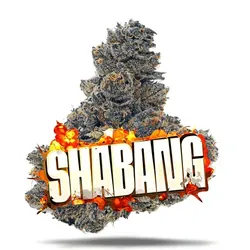 Shabang - Premium from  product image