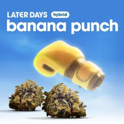 Banana Punch Flower from  product image