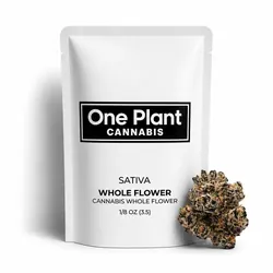 Prophet from  product image
