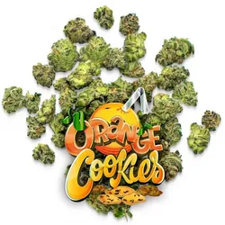 Orange Cookies - Pops from  product image