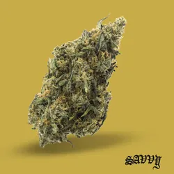 Zqueeze from  product image