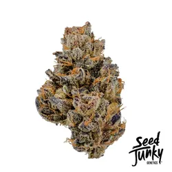 Tropical Burst -  cannabis product