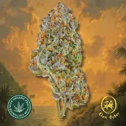 Gully Kush from  product image
