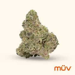 Gush Mints from  product image