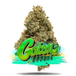 Gator Breath - Premium from  product image
