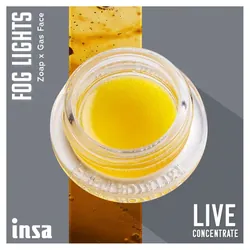 Live Budder - Pi Head from  product image