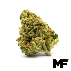 Motor Breath - Whole Flower 3.5G from  product image