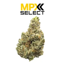 MPX Select Z Berries Flower from  product image