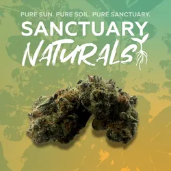 Pineapple Junky Naturals - 3.5g from  product image