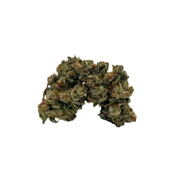 Babysita from  product image