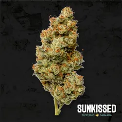 Biscotti x OZ from  product image
