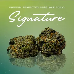 Rainbow Sherbert Signature - 3.5g from  product image