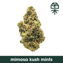 Mimosa Kush Mints from  product image