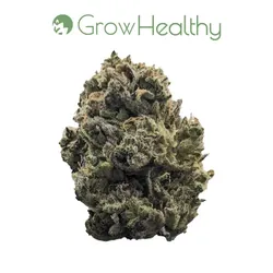 Durban Dawg Flower from  product image