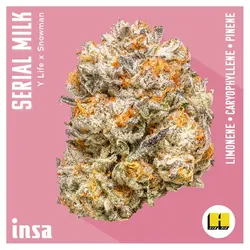 Flower - Serial Milk from  product image