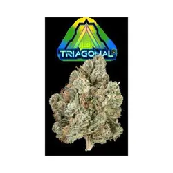 Triagonal #9 Eighth (Glass Jar) from  product image