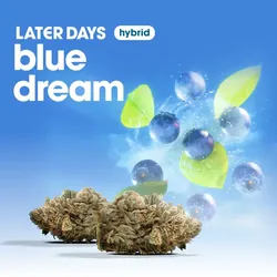 Blue Dream Flower from  product image