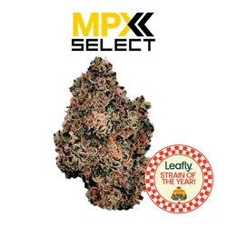 MPX Select™ Hash Burger Flower from  product image