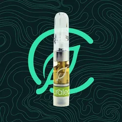 Pink Champagne from  product image