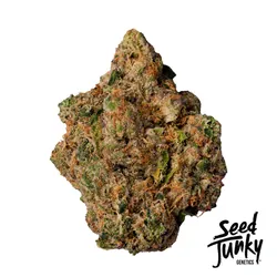 Lemon Cherry x Cap Junky Flower from  product image
