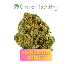 Mandarin Sunset -  cannabis product
