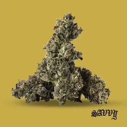 Dead Headz from  product image