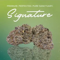 Terpee Burger Signature - 3.5g from  product image